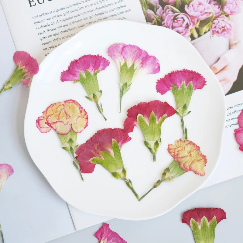 6pcs/4-7cm,Carnation dried flo - Dried Flower Bookmark recension och pris