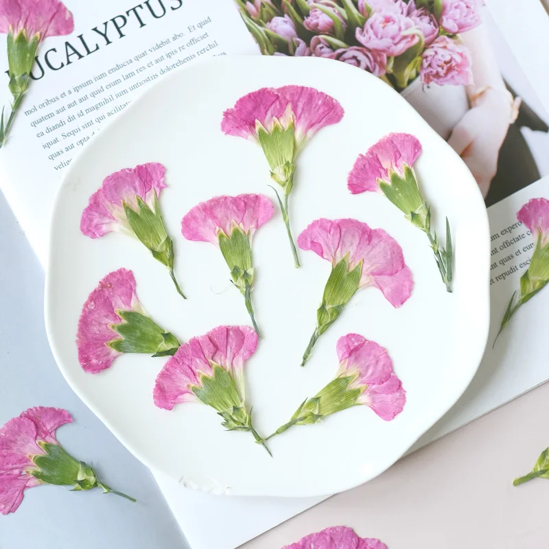 6pcs/4-7cm,Carnation dried flo - Dried Flower Bookmark recension och pris