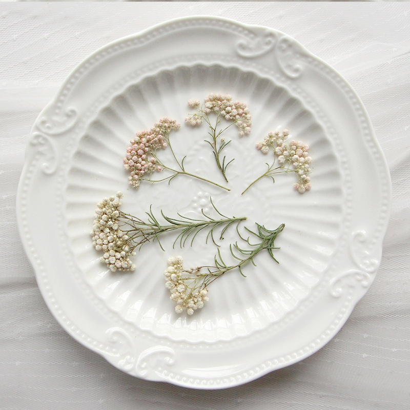 12pcs,Nature Millet flower bra - Dried Flower Bookmark recension och pris